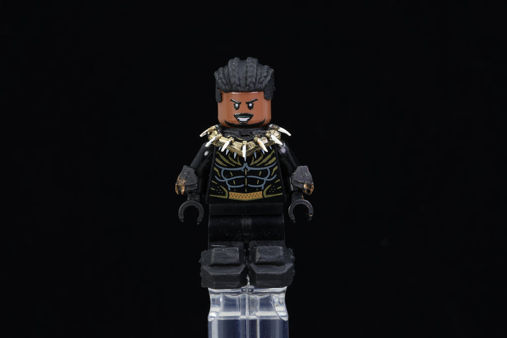 Forgotten Prince Warrior