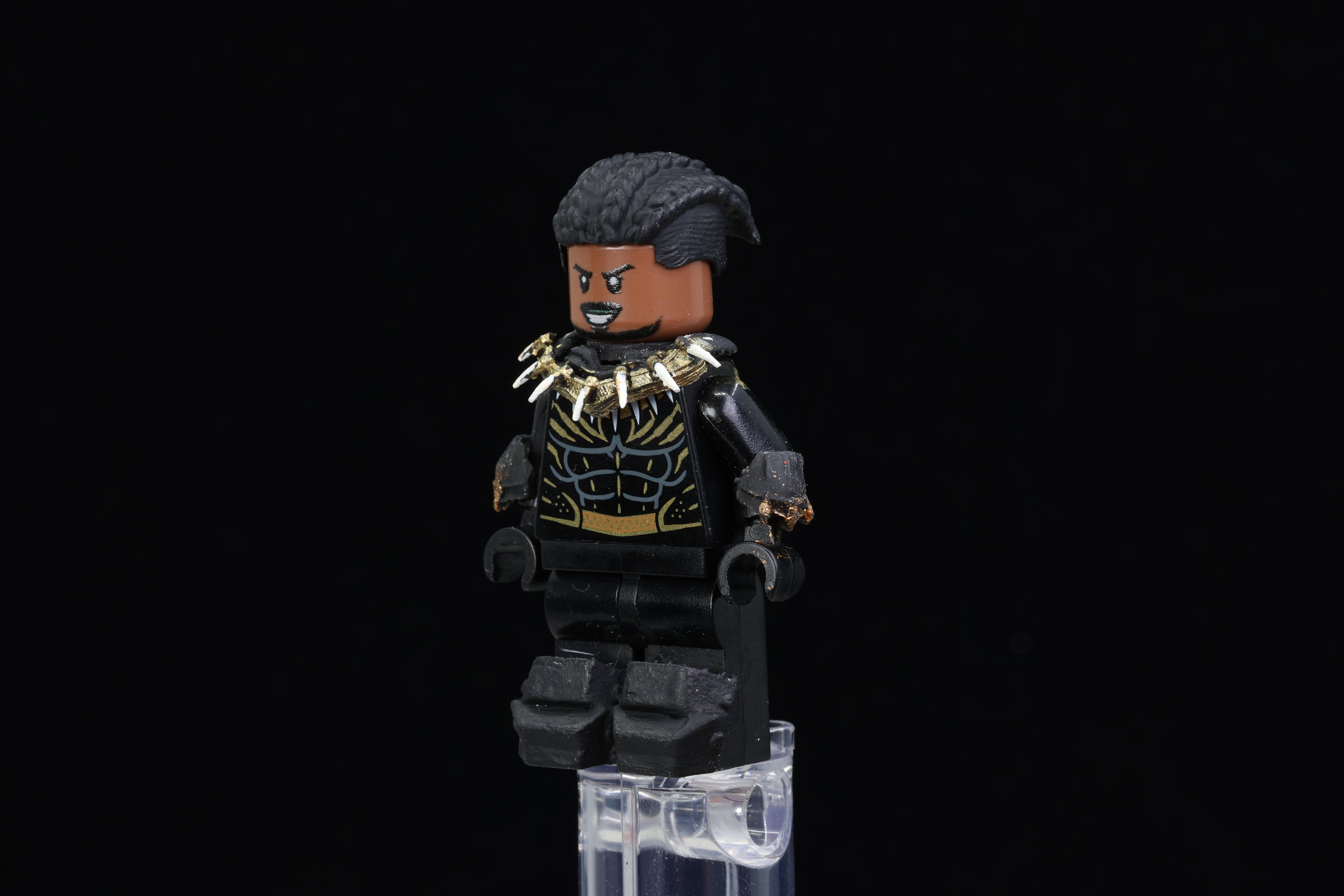 Forgotten Prince Warrior