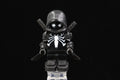 Hooded Spider Assassin