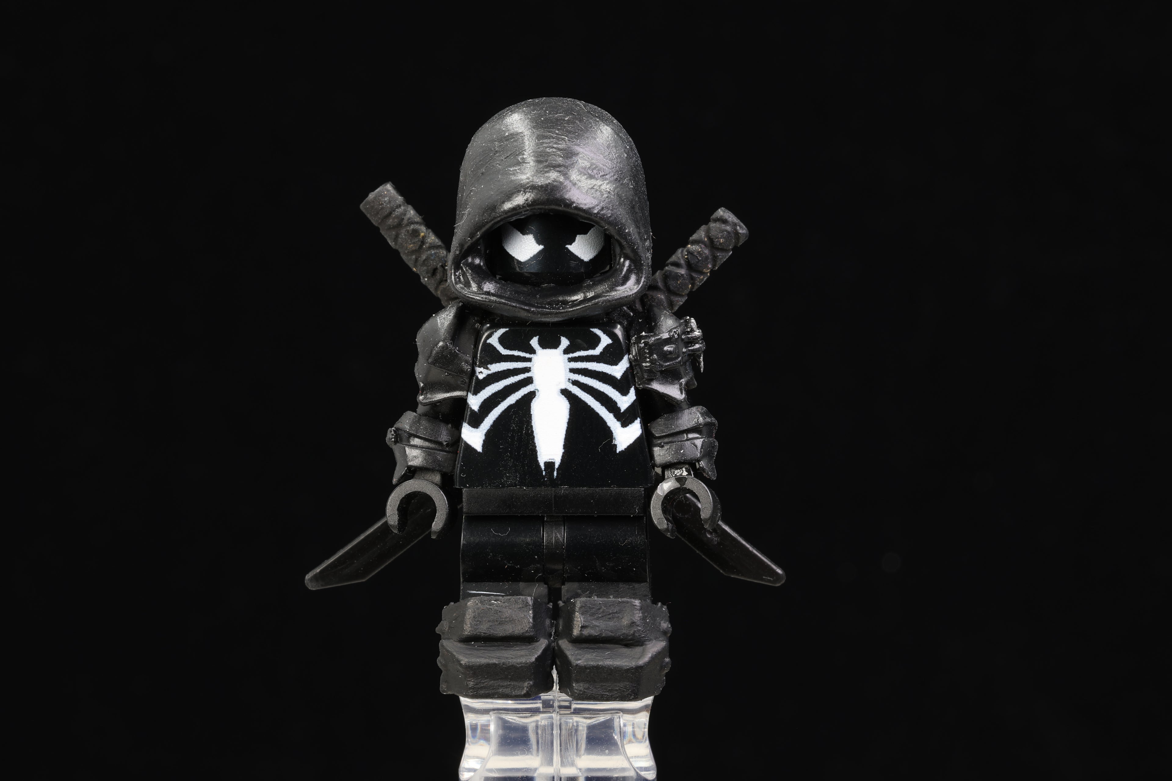 Hooded Spider Assassin