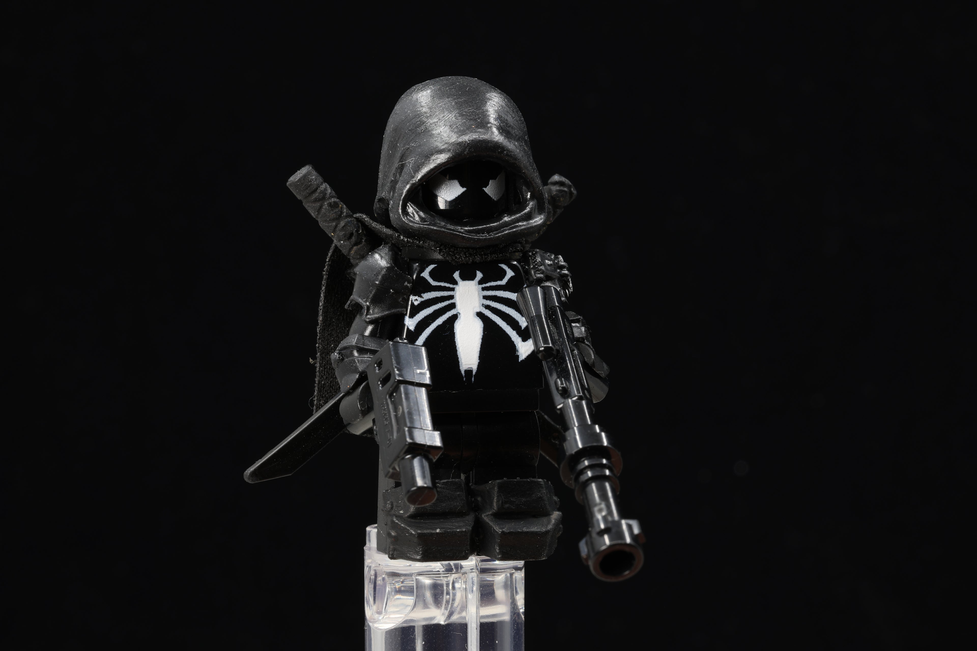 Hooded Spider Assassin