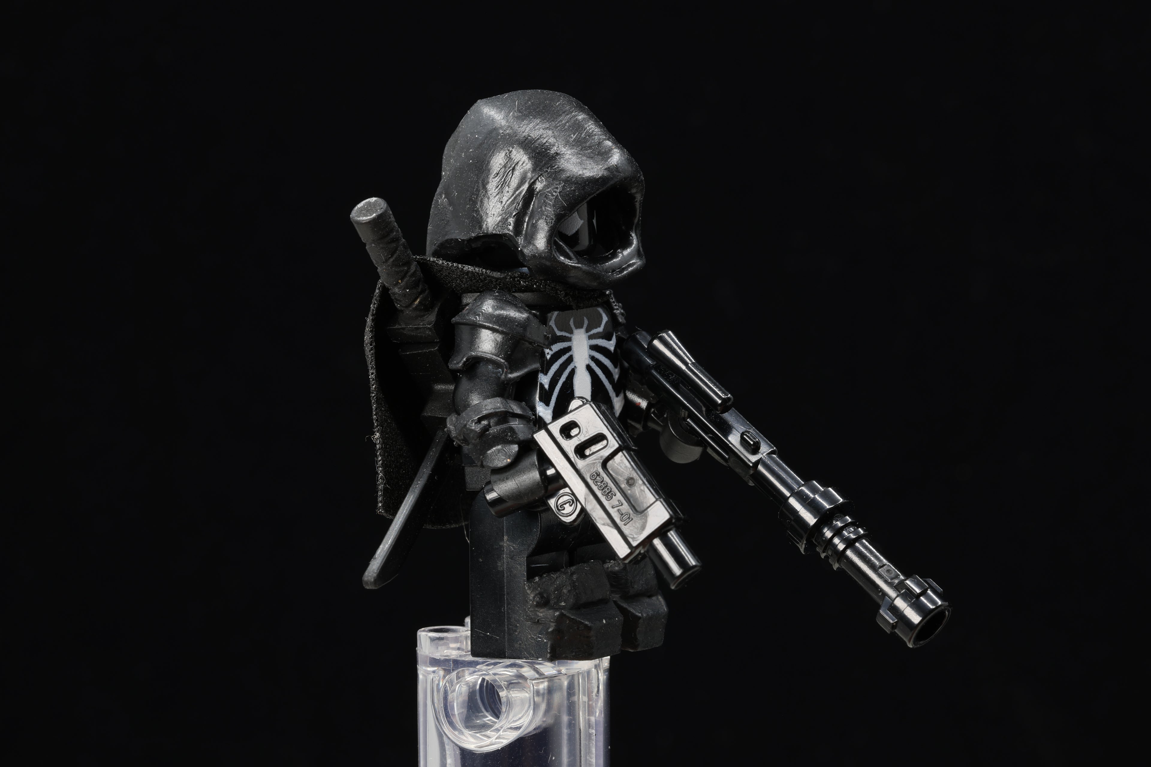 Hooded Spider Assassin