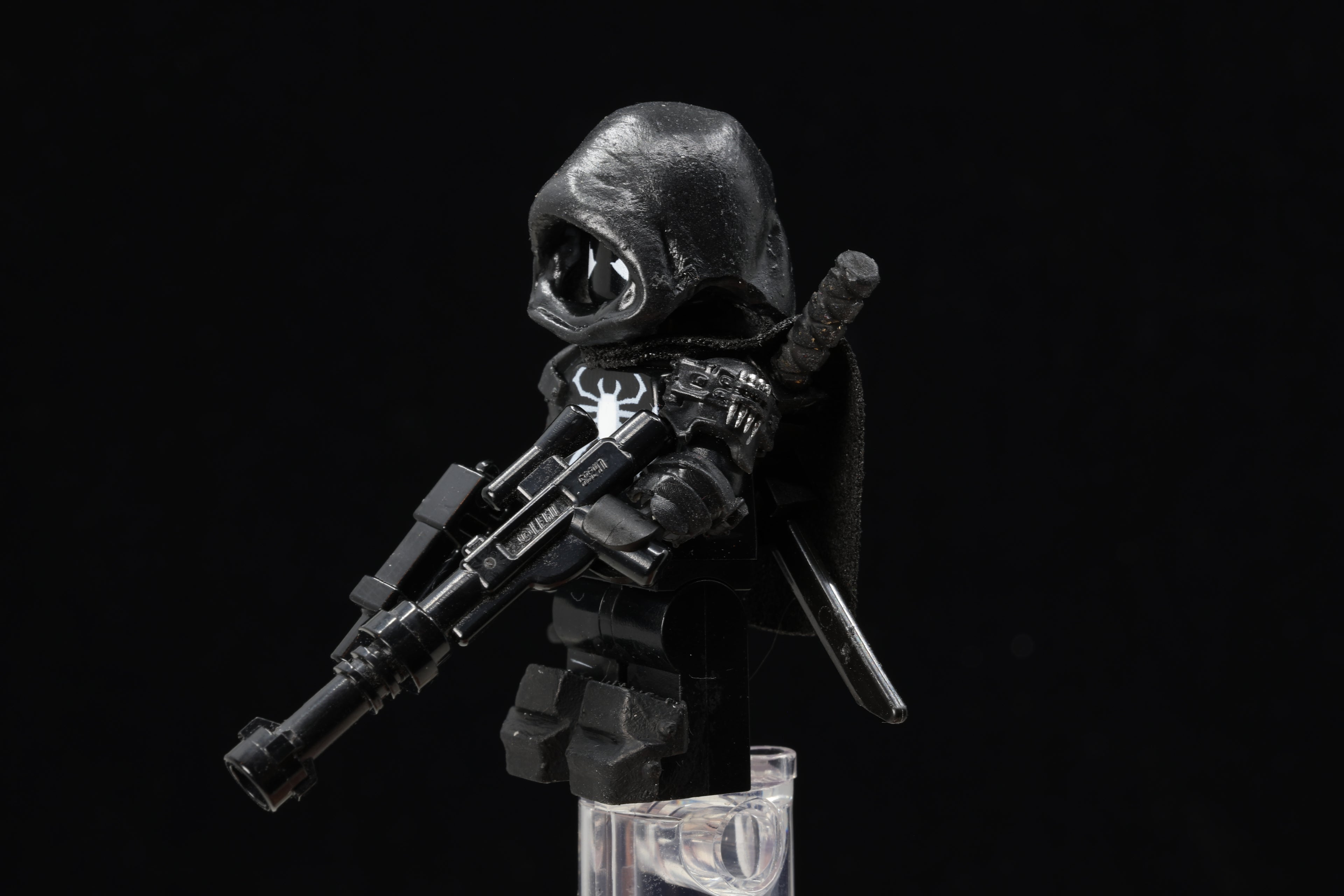 Hooded Spider Assassin