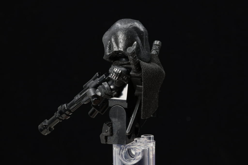 Hooded Spider Assassin
