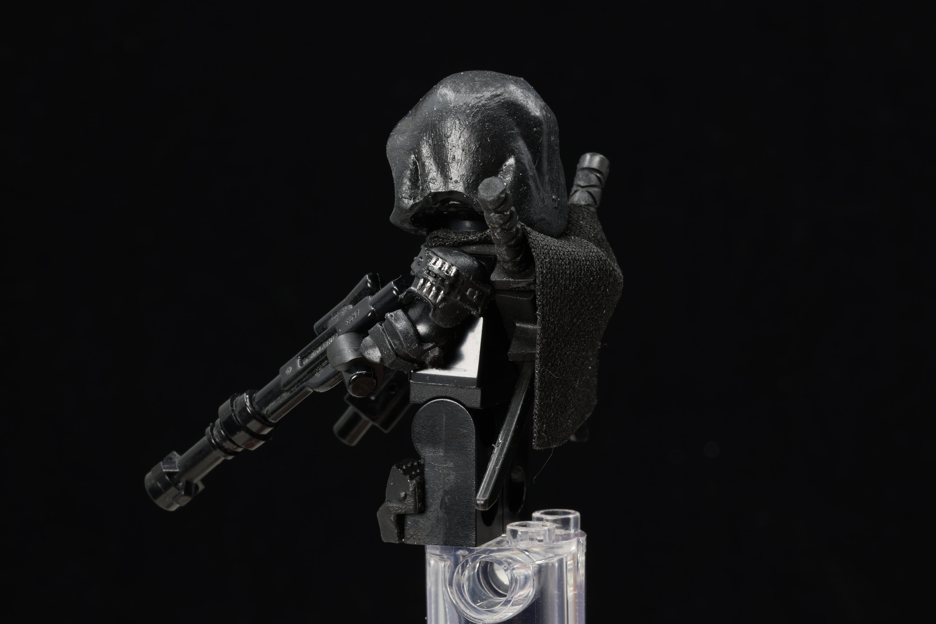 Hooded Spider Assassin